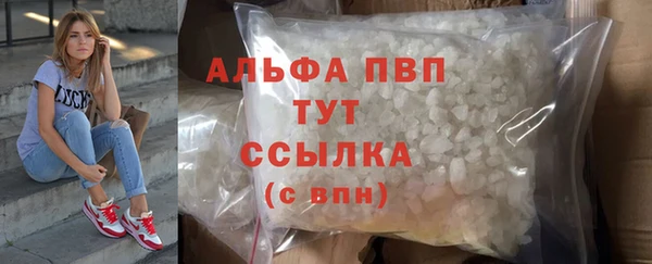мдпв Горнозаводск