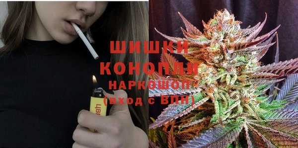 мдпв Горнозаводск