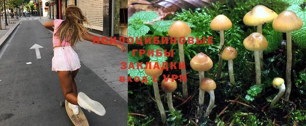 мдпв Горнозаводск