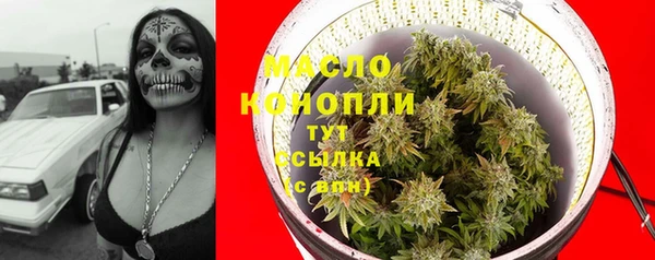 мдпв Горнозаводск