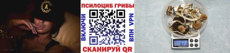 ОМГ ОМГ маркетплейс Южно-Сахалинск Псилоцибиновые грибы Cubensis